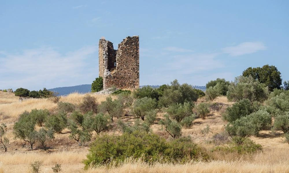 Μάχη των Βρυσακίων: Aπό τα πρώτα πολεμικά επεισόδια του 1821